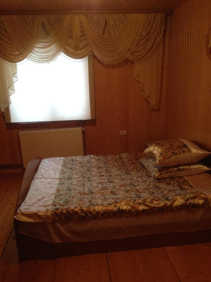 Apartmán Карпатська Перлина Iltsi Exteriér fotografie